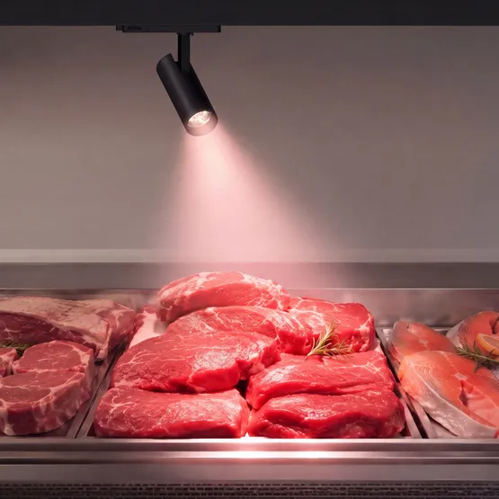 Фото #2 товара Светильник LGD-GERA-4TR-R90-30W Warm SP2900-Meat (Черный, 24 deg, 230V) (Arlight, IP20 Металл, 5 лет)