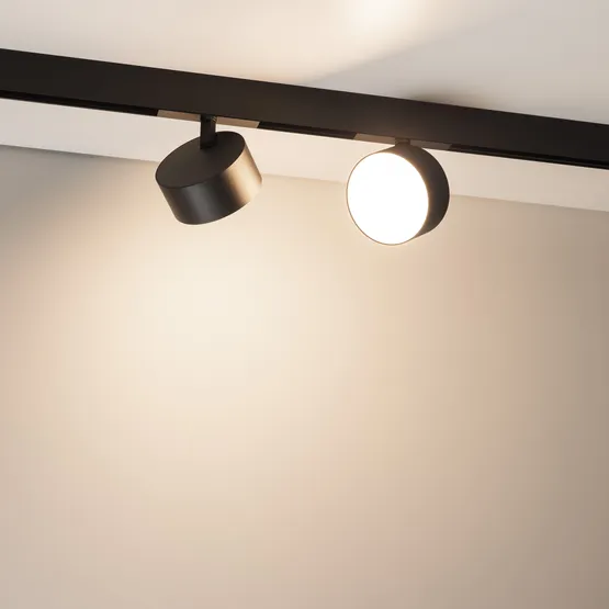 Фото #2 товара Светильник MAG-ORIENT-RONDO-R120-15W Day4000 (BK, 110 deg, 48V) (Arlight, IP20 Металл, 5 лет)