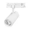 Минифото #1 товара Светильник LGD-GERA-4TR-R74-20W Warm3000 (WH, 24 deg, 230V) (Arlight, IP20 Металл, 5 лет)