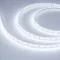Минифото #2 товара Светодиодная лента герметичная RTW-PU-A120-10.5mm 24V Cool 8K (16.8 W/m, IP68, 2835, 5m) (Arlight, -)