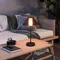 Минифото #4 товара Светильник настольный SP-BAGLIORE-3.2W Warm2700 (Черный, 280 deg, 5V) (Arlight, IP54 Металл, 2 года)